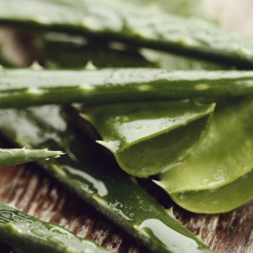 aloe-vera