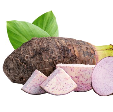 taro-root-and-slice-isolated-on-white-background